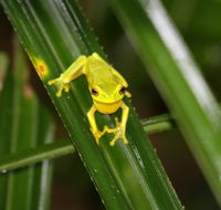 Daintree River Cruise Centre - Accommodation QLD