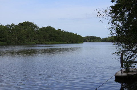 Daintree River Cruise Centre - Accommodation QLD 2