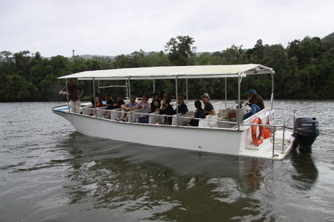 Daintree River Cruise Centre - Accommodation QLD 3