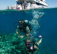 Down Under Cruise and Dive