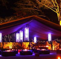 Flames Of The Forest - Accommodation QLD