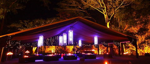 Flames Of The Forest - Accommodation QLD 0