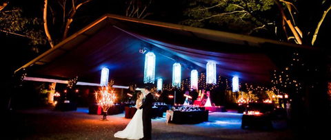 Flames Of The Forest - Accommodation QLD 3