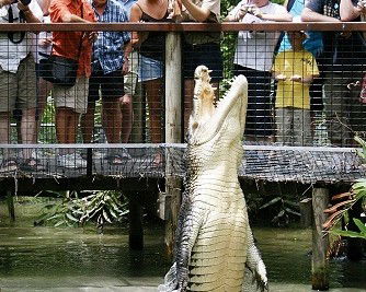 Wangetti QLD Accommodation QLD