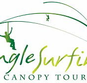 Jungle Surfing Canopy Tours and Jungle Adventures Nightwalks - Accommodation QLD