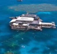 Quicksilver Cruises - Accommodation QLD