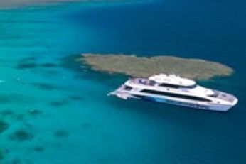 Quicksilver Cruises - Accommodation QLD 1