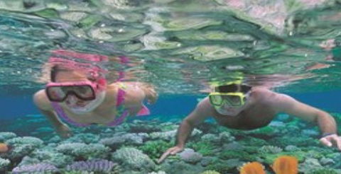 Quicksilver Cruises - Accommodation QLD 2