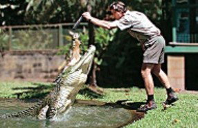 Reef And Rainforest Connections - Accommodation QLD 3