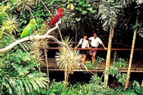 Reef And Rainforest Connections - Accommodation QLD 4