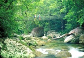 Reef And Rainforest Connections - Accommodation QLD 5