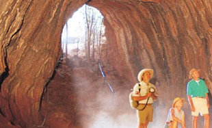 Undara Experience - Accommodation QLD 3