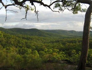 Cooktown Aboriginal Art Tours - Accommodation QLD 1