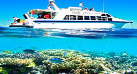 Reef Jet Cruises - Accommodation QLD 2