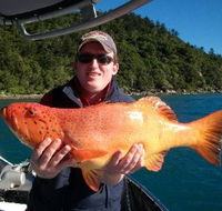 Gone Fishing by Coral Sea Fishing Charters Airlie Beach - Accommodation QLD