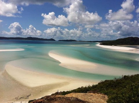 Whitsunday Dive Adventures - Accommodation QLD 1