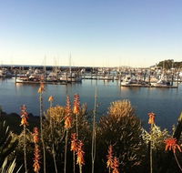 Mantaray Charters - Accommodation QLD