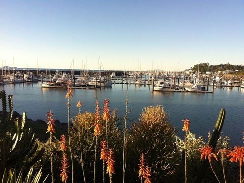 Mantaray Charters - Accommodation QLD 0