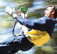 Adventure Parc - Accommodation QLD