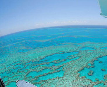 Air Whitsunday Seaplanes - Accommodation QLD 0