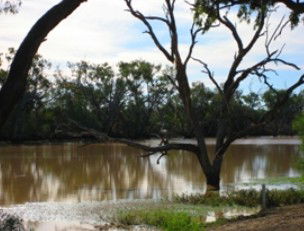 Allan Tannock Weir - Accommodation QLD 2