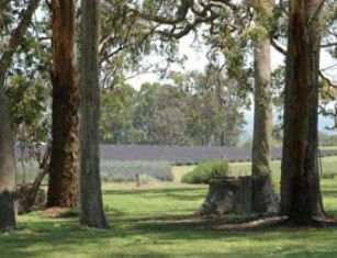 Thorndale QLD Accommodation QLD