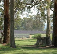 Aloomba Lavender - Accommodation QLD