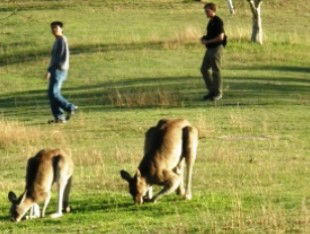 Southbrook QLD Accommodation QLD