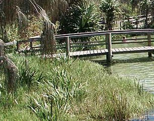 Australia Fraser Island Escape - Accommodation QLD 1