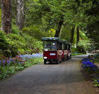 Araluen Botanic Park - Accommodation QLD