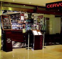 Cervo - Accommodation QLD