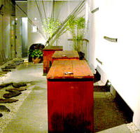 Koi - Accommodation QLD
