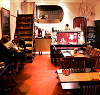 Peko Peko - Accommodation QLD