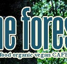 Forest Cafe  Bar - Accommodation QLD