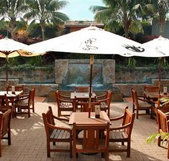 Mona Vale Hotel