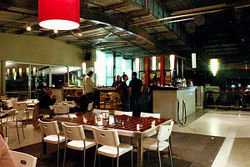 Martini Bar - Accommodation QLD 1