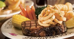 Hogs Breath Cafe - Accommodation QLD 1