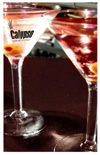 Calypso Bar And Lounge - Accommodation QLD 1