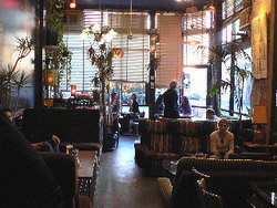 Blackcat - Accommodation QLD 1