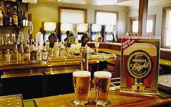 Regatta Bar - Log Cabin - Accommodation QLD 1