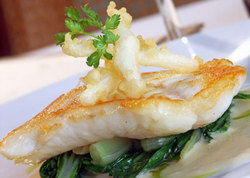 Duke Of Wellington Hotel - Accommodation QLD 1