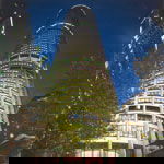 Summit - Restaurant - Accommodation QLD 1