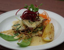 Bird In Hand Inn - Accommodation QLD 2