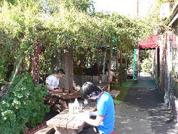 Blackcat - Accommodation QLD 3