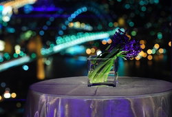 Summit - Orbit Lounge Bar - Accommodation QLD 3