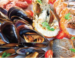 Pelagos Greek Tavern - Accommodation QLD 2