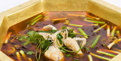 Red Chilli Sichuan Restaurant - Accommodation QLD 0