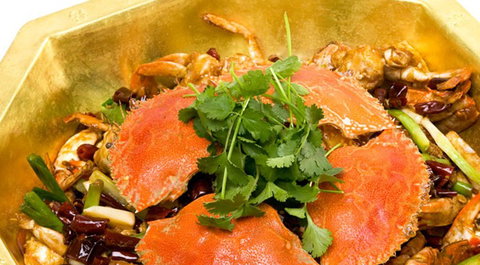 Red Chilli Sichuan Restaurant - Accommodation QLD 1