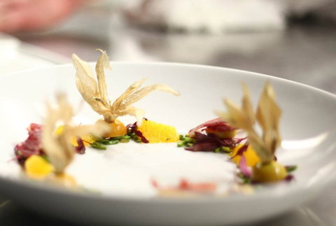 Jellyfish Restaurant - Accommodation QLD 0