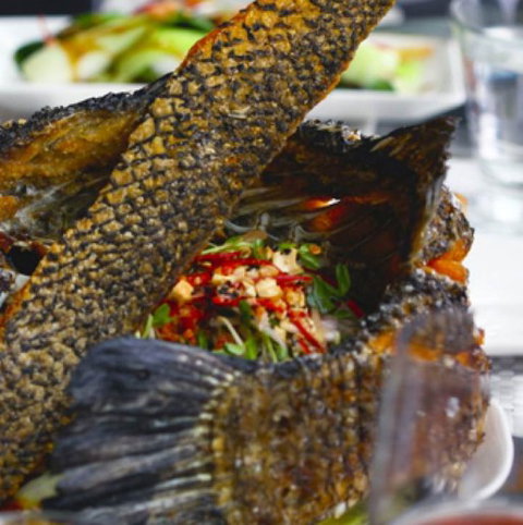 Jellyfish Restaurant - Accommodation QLD 3